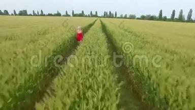 金发女人穿着红色连衣裙，带着麦子跑在田野里。